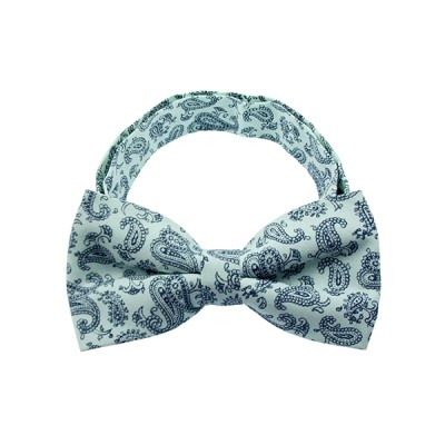 Paisley Bow Tie Paisley Bow Tie