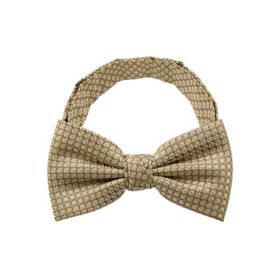 Dot Pattern 2 Bow Tie