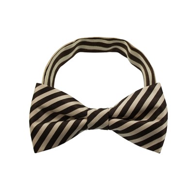 Brown Stripe Pattern 1 Bow Tie