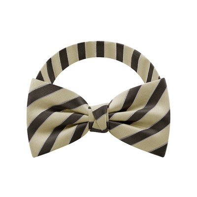 Coffee Stripe Bow Tie