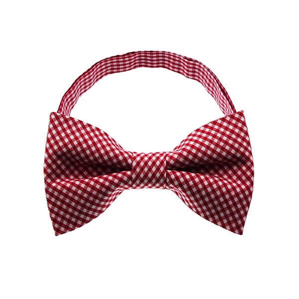 Gingham Bow Tie