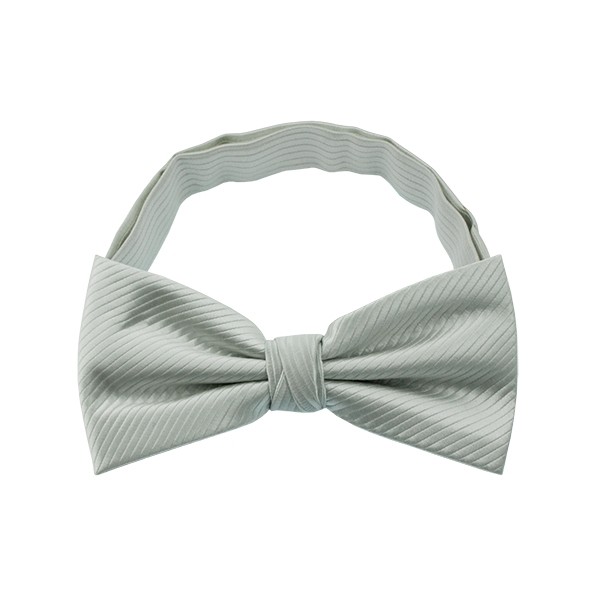 Plain Bow Tie