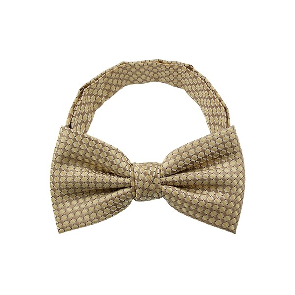 Dot Pattern 2 Bow Tie