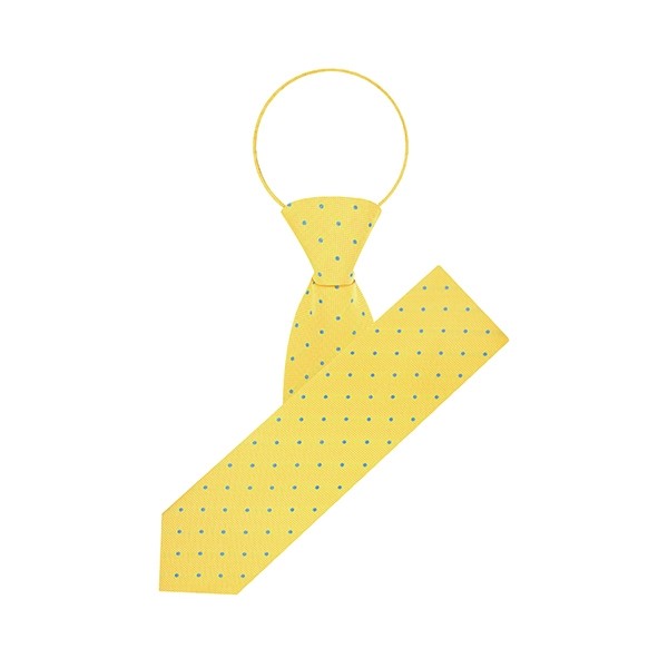 M.S. Spot Zipper Tie