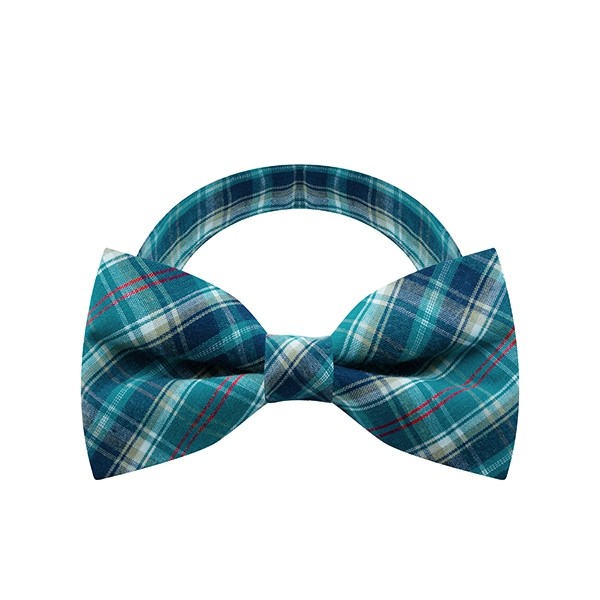 Turquoise Scott Bow Tie