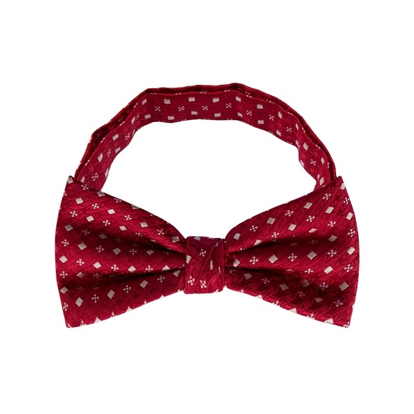 Polka Dot Bow Tie