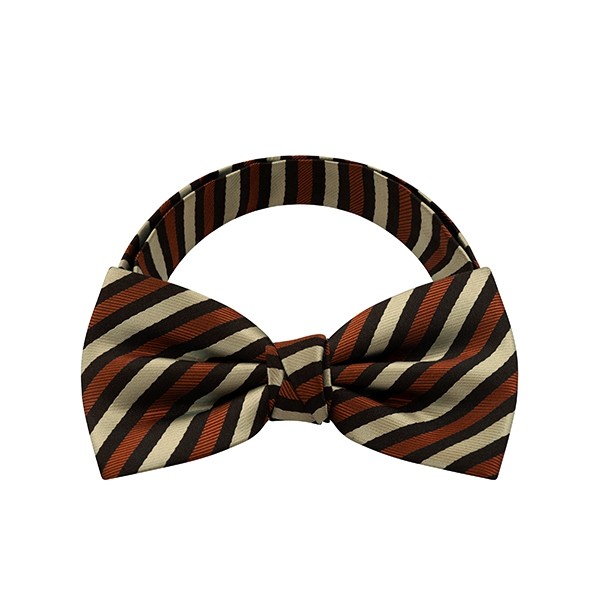Stripe Bow Tie