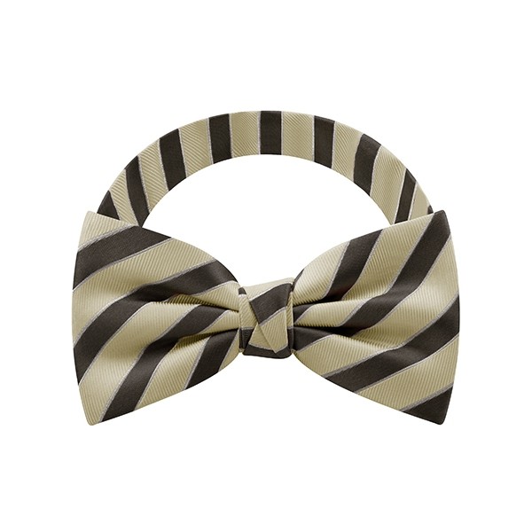 Coffee Stripe Bow Tie