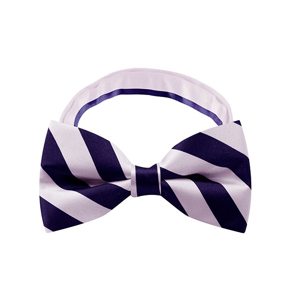 Purple Shade Stripe Bow Tie